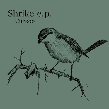 Shrike e.p. by Cuckoo - album cover