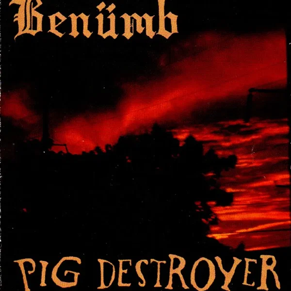 Benümb / Pig Destroyer