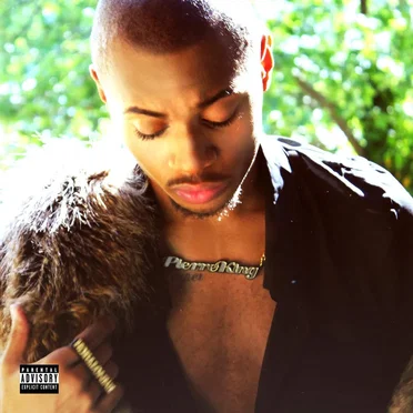 Im Not Rich by Pierre King - album cover