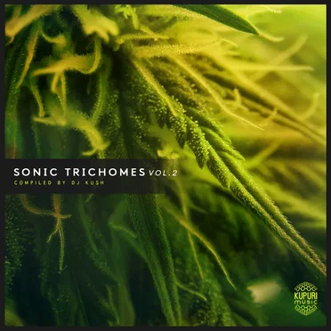 Sonic Trichomes, Vol.2 by Various Artists - album cover