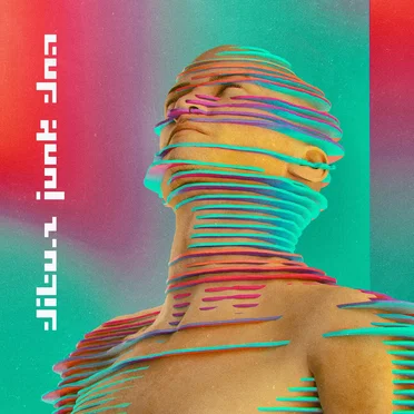 Junk DNA by Dibu‐Z - album cover