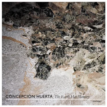Concepción Huerta