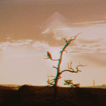 European Dusk