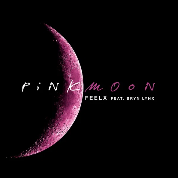 Pink Moon