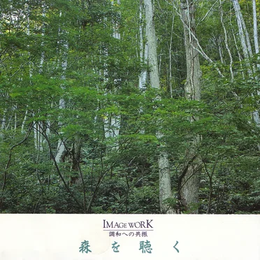 森を聴く