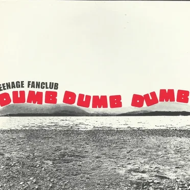Dumb Dumb Dumb
