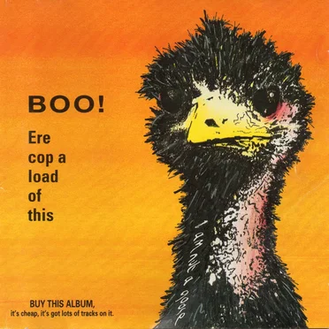 Boo! Ere Cop a Load of This by Various Artists - album cover