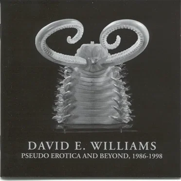 Pseudo Erotica and Beyond, 1986 - 1998