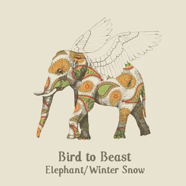 Elephant by Bird to Beast - album cover
