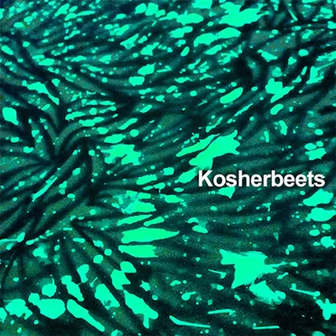 ¡kb! album by kosherbeets - album cover