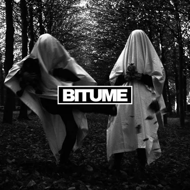 Irréprochable / Barricades by Bitume - album cover