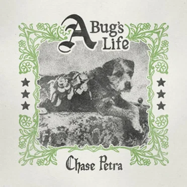 A Bug's Life