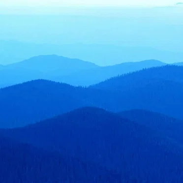 windows6