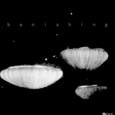 b a n i s h i n g by Various Artists - album cover