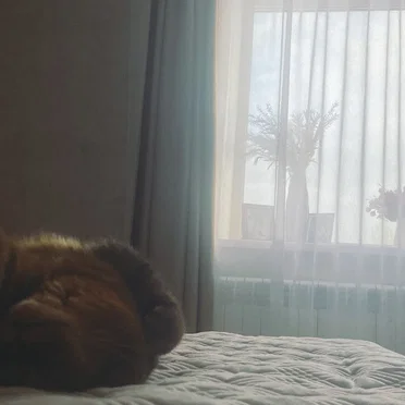 this beautiful life