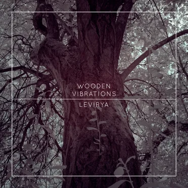 Wooden Vibrations
