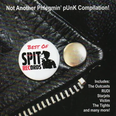 Not Another Phlegmin' PuNk Compilation! by Various Artists - album cover