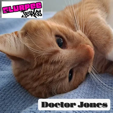 Doctor Jones by Slurpee Jerks - album cover