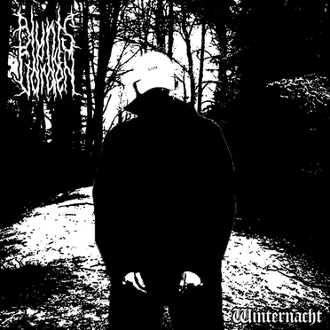 Winternacht by Blunts in the Garden - album cover