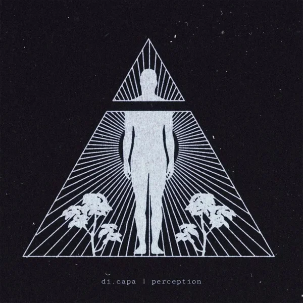 perception