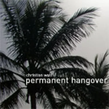 Permanent Hangover by Christian Walt - album cover