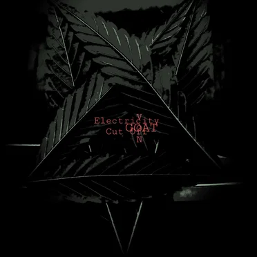 Electricity Cut Off by Von Goat - album cover