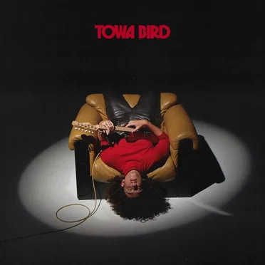 Drain Me! by Towa Bird - album cover