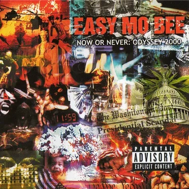 Now or Never: Odyssey 2000 by Easy Mo Bee - album cover