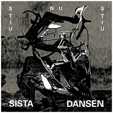 Sista dansen by ŞTIU NU ŞTIU - album cover