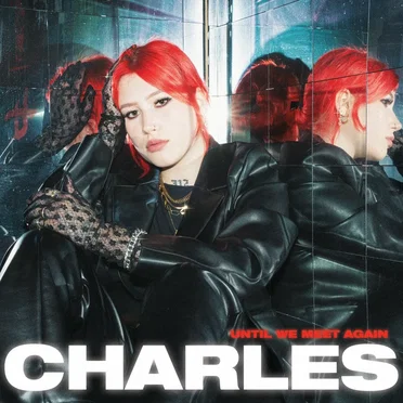 Until We Meet Again by Charles - album cover