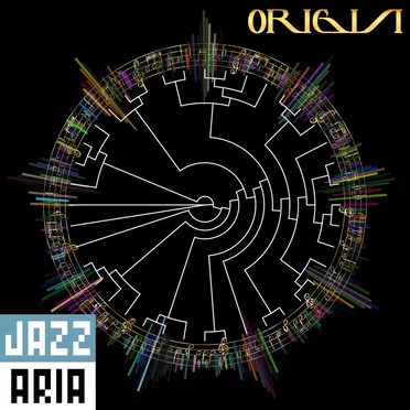 Origin