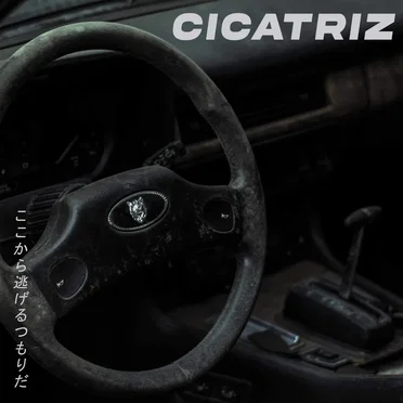 Cicatriz by Rollo California - album cover