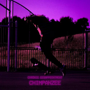 Chimpanzee
