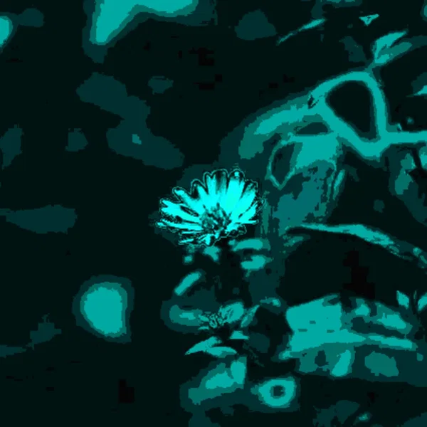 The story of the lone Daisy (sped up)
