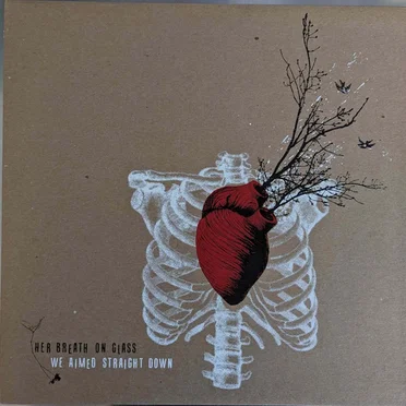 We Aimed Straight Down by Her Breath On Glass - album cover