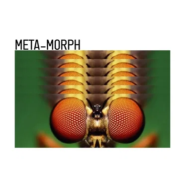 Meta-Morph