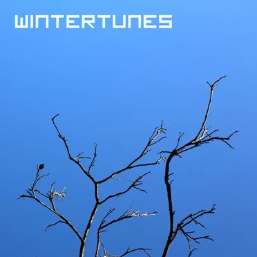 Wintertunes by Various Artists - album cover