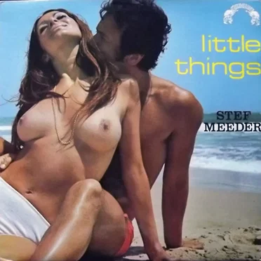 Little Things by Stef Meeder - album cover