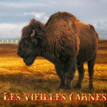 B.I.S.O.N by Les Vieilles Carnes - album cover