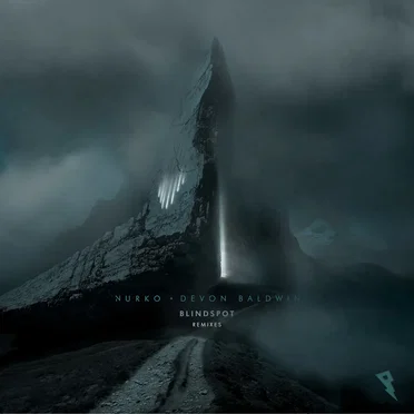 Blindspot (remixes)