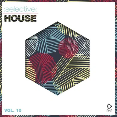 Selective: House, Vol. 10 by Various Artists - album cover