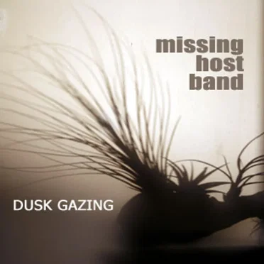 Dusk Gazing by Missing Host Band - album cover