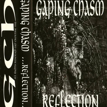 Reflection