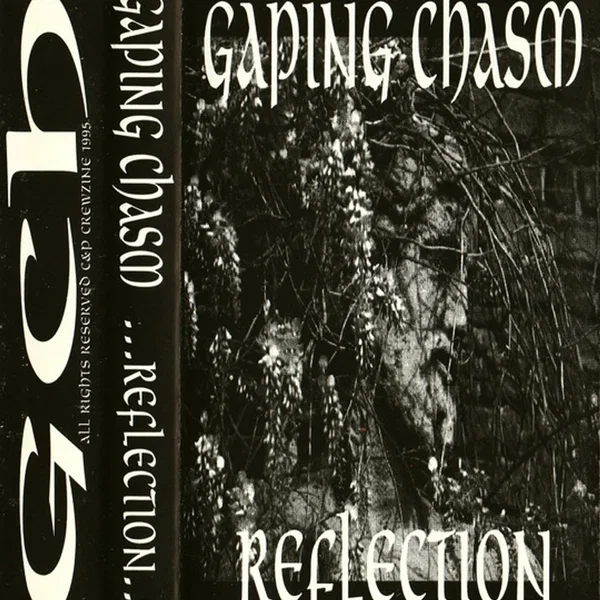 Reflection