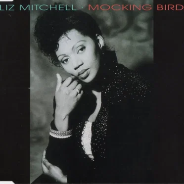 Mocking Bird