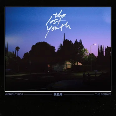 The Lost Youth (remixes)