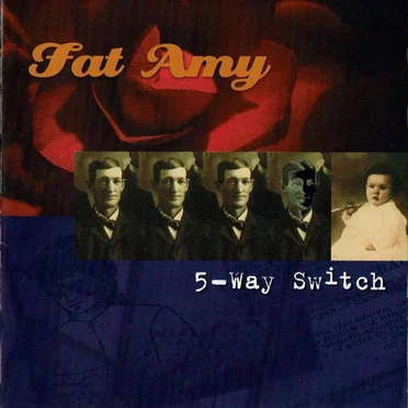5-Way Switch by Fat Amy - album cover