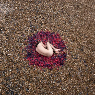Metamorphosis by Romain Axisa - album cover
