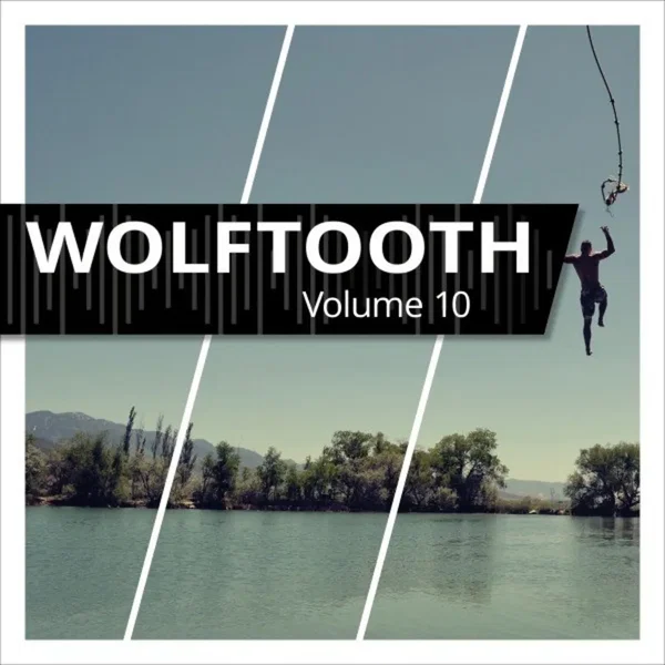 Volume 10