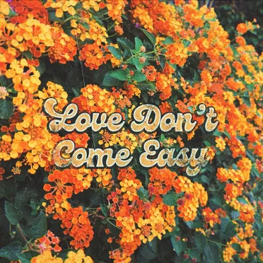 Love Don’t Come Easy by FAKE SUEDE - album cover